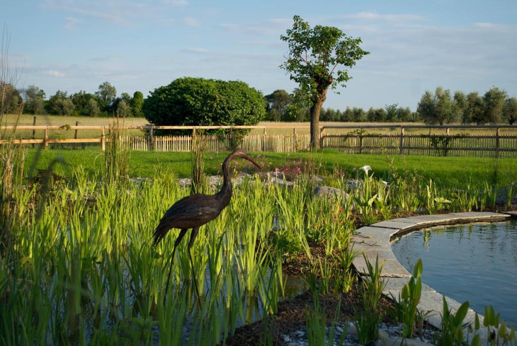 Agriturismo La Breda Pension San Felice del Benaco Buitenkant foto