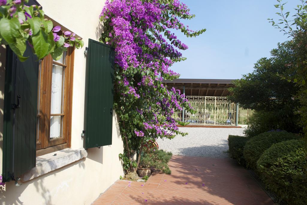 Agriturismo La Breda Pension San Felice del Benaco Buitenkant foto